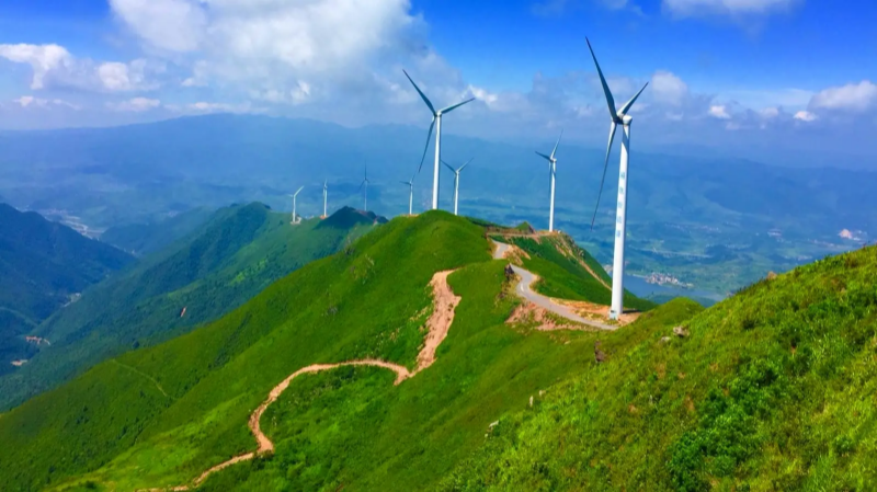 賽弗提自動(dòng)滅火裝置守護(hù)臨武泡金山配電柜